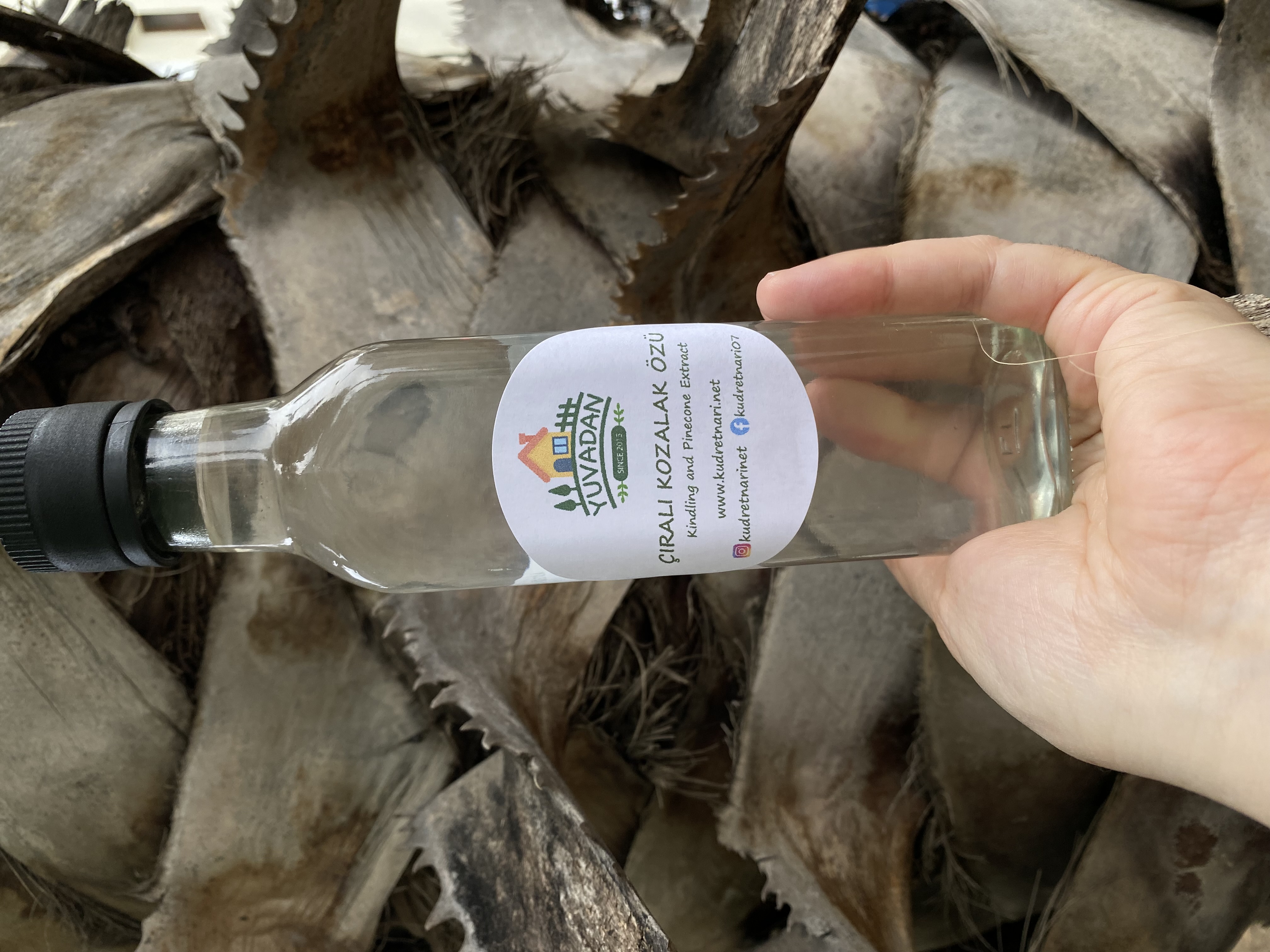 Kindling%20Pine%20Cone%20Extract%20-%20Kindling%20Pine%20Cone%20Syrup%20-%20Kindling%20Pine%20Cone%20Extract%20-%20Pine%20Cone%20Juice