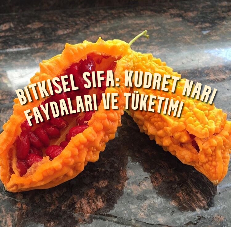 Bitkisel Şifa: Kudret Narı Faydaları - Uzmanların Araştırmaları Tavsiyeleri Kullanımı