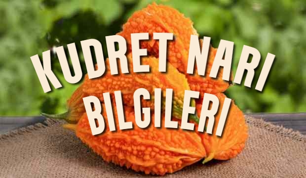 Kudret Narı Nedir ?