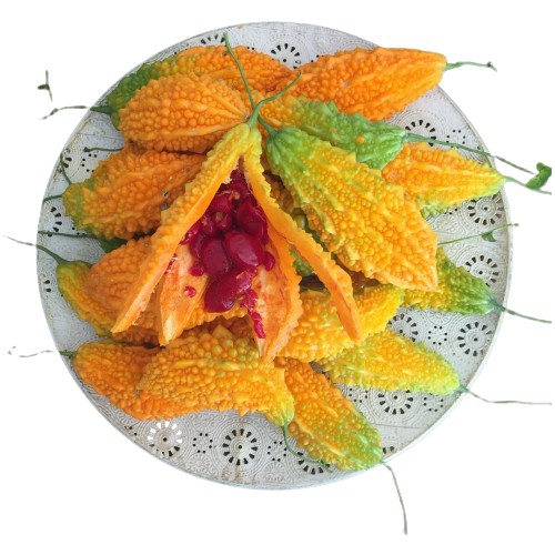 Taze Kudret Narı Meyvesi 3 Kg - 3000gr Tarladan Doğal Meyve Kudretnarı Karela 