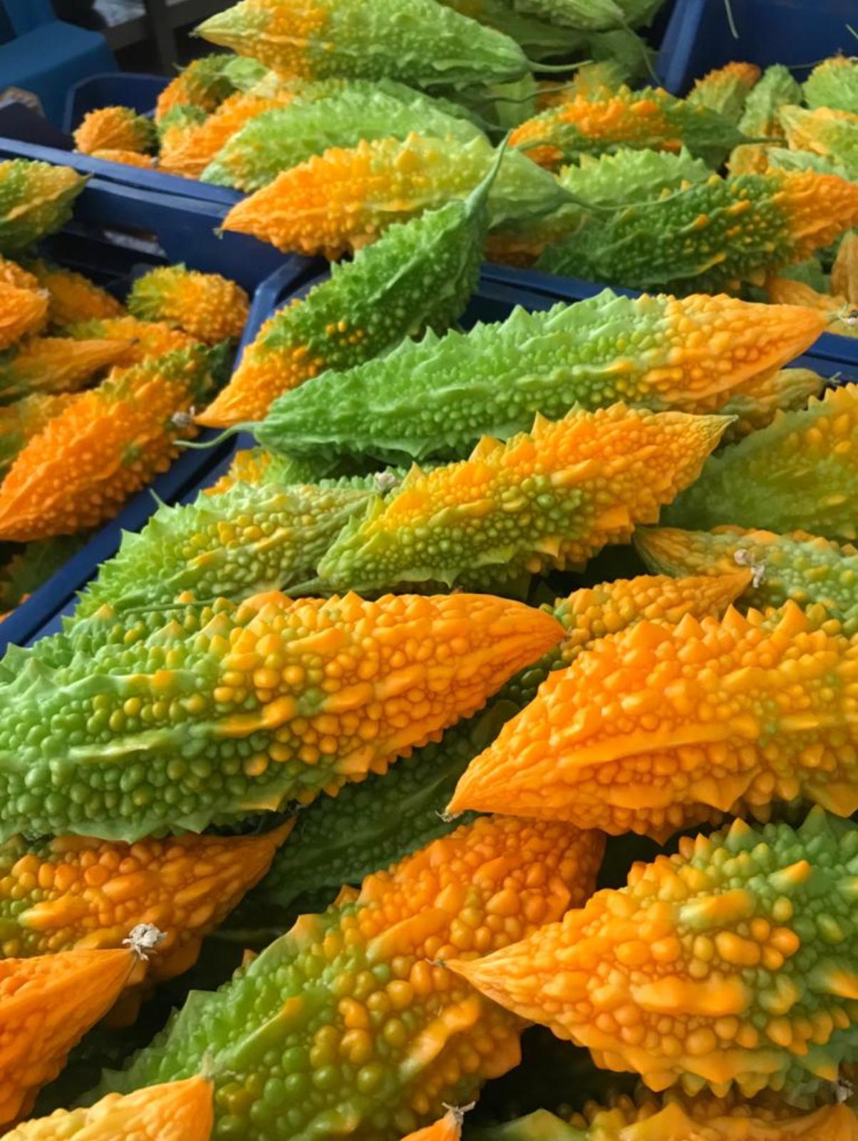 Taze%20Kudret%20Narı%20Meyvesi%201,5%20Kg%20-%20Tarladan%20Doğal%20Meyve%20Kudretnarı%20Karela%201500gr