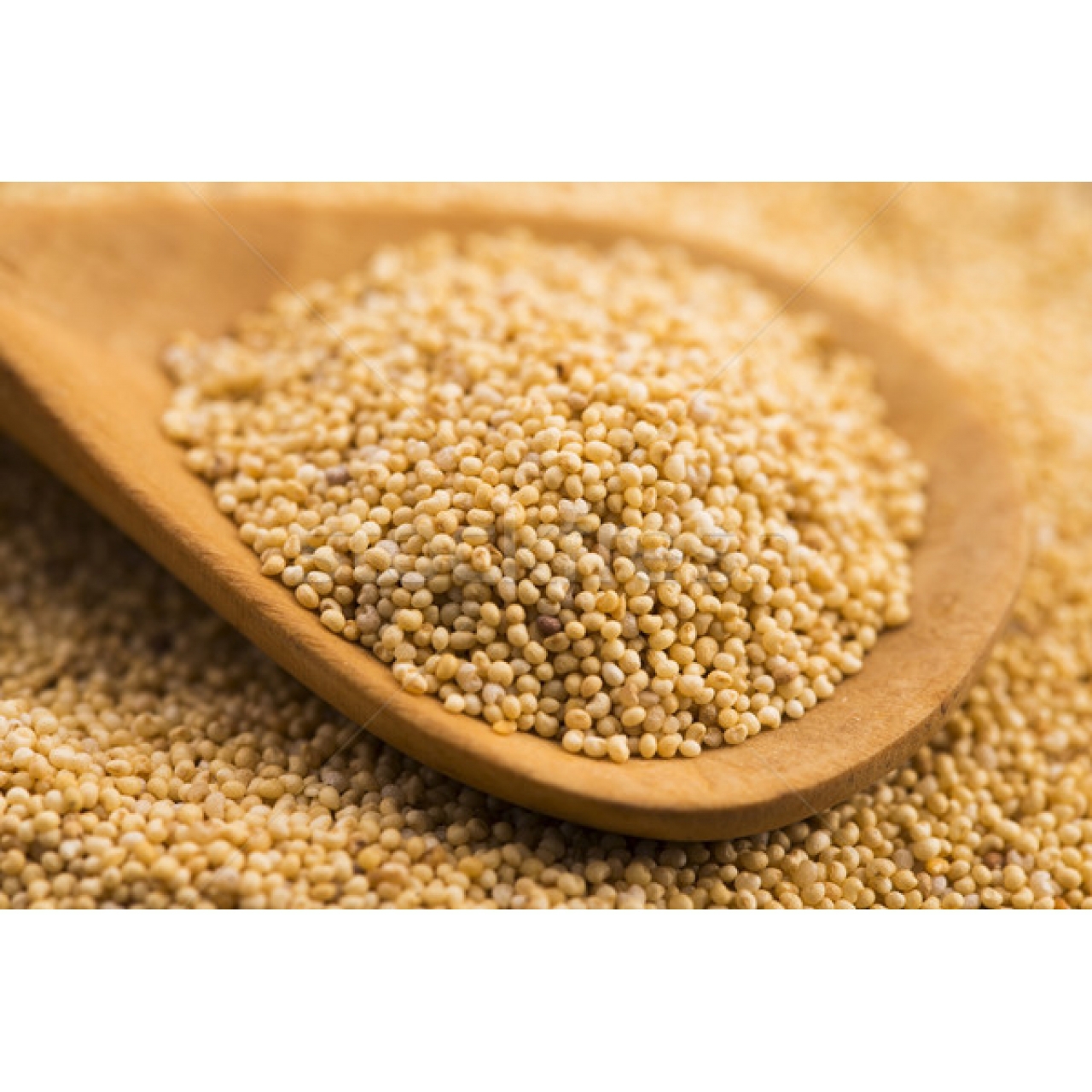 Beyaz Haşhaş 500gr- Beyaz Haşhaş Tohumu 500gr 