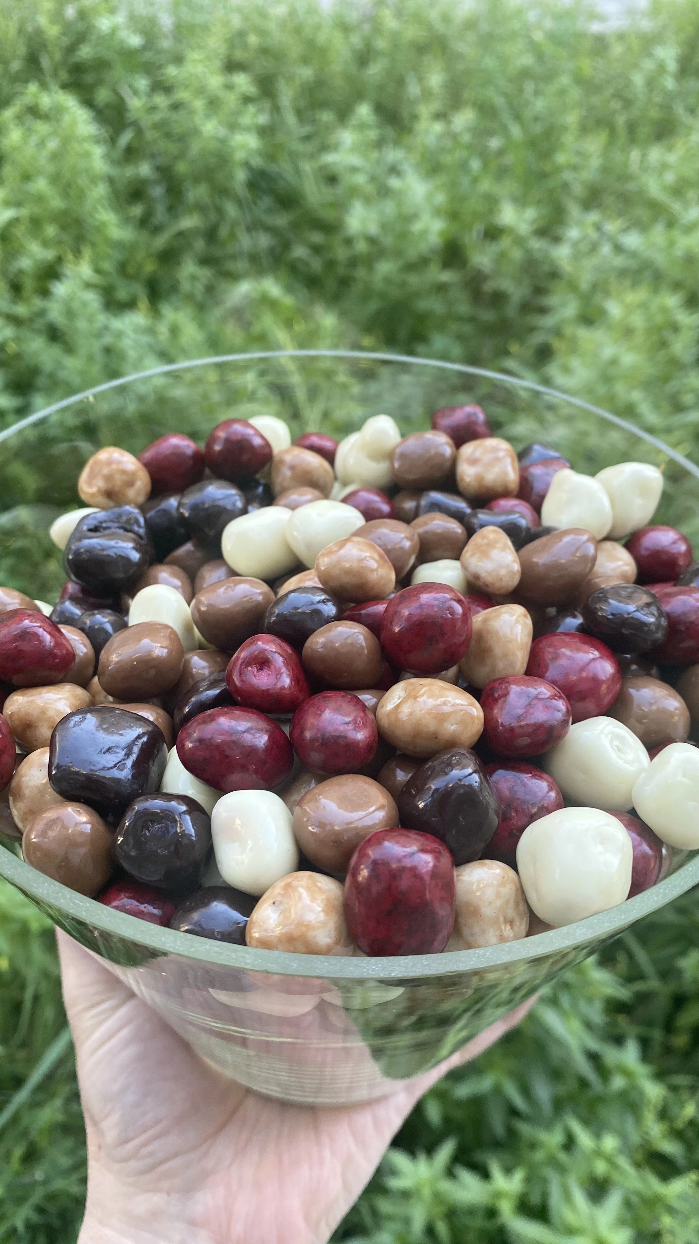 CHOCOLATE-COATED FIG DRAJE | 100 g