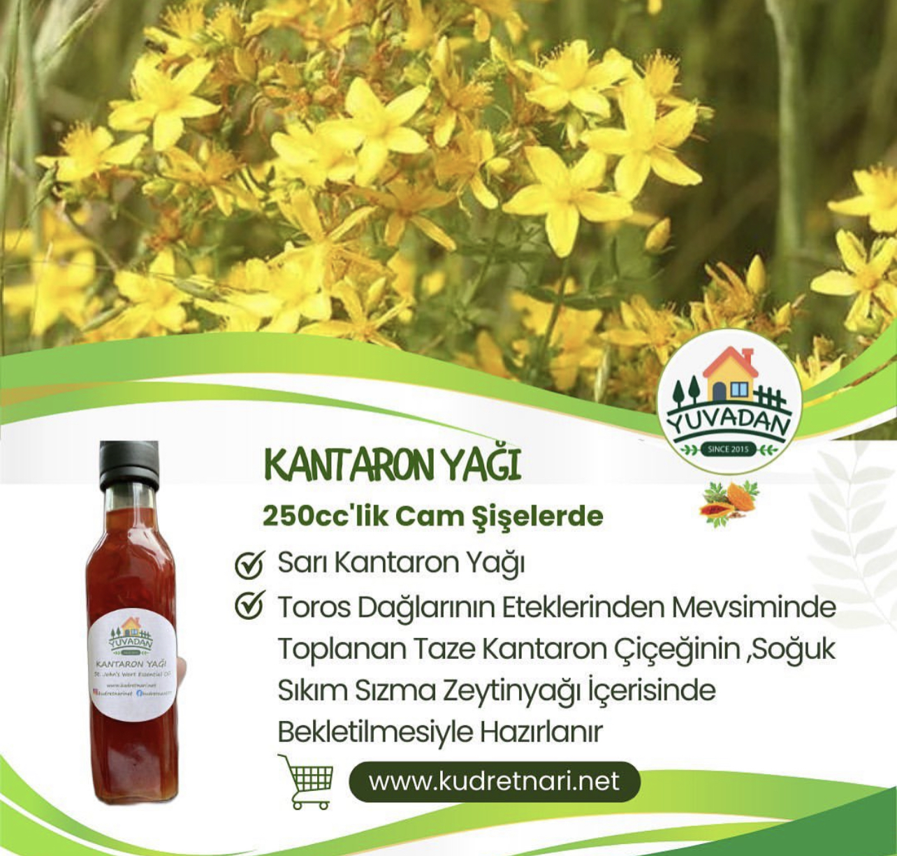 St.%20John’s%20Wort%20Oil%20-%20250cc