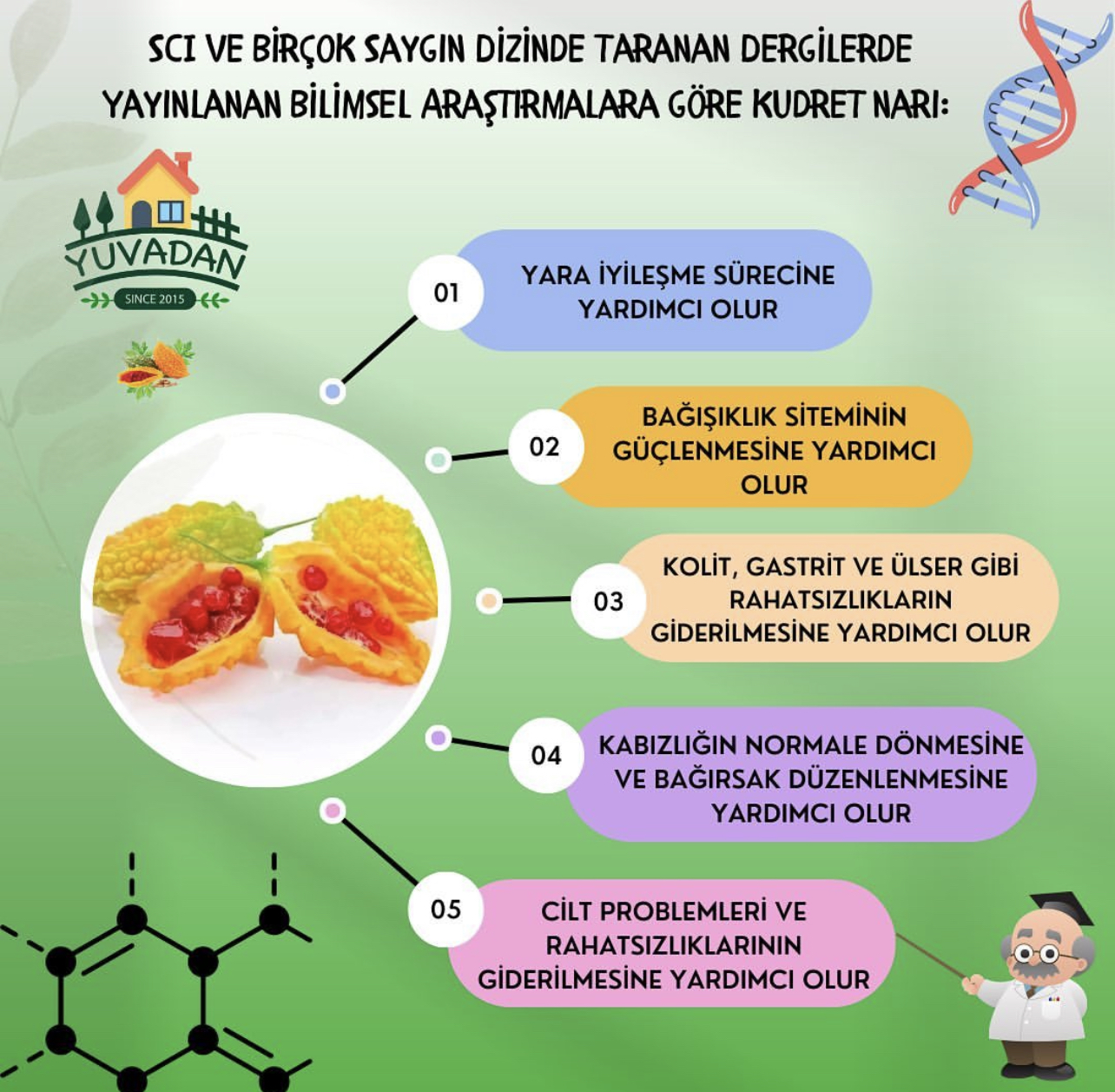 Ekime%20Hazır,%206%20Adet%20Kudret%20Narı%20Fidesi%20,özel%20Viyol%20Fideliği%20ile%20Korumalı%20Kargo