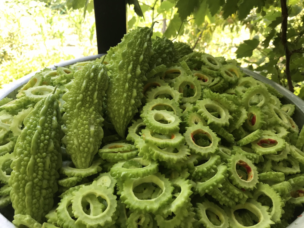 Taze%20Yeşil%20Kudret%20Narı%202000%20GR,%20Bitter%20Gourd,%20Bitter%20Melon,%20Momordica%20Charantia%202%20KG