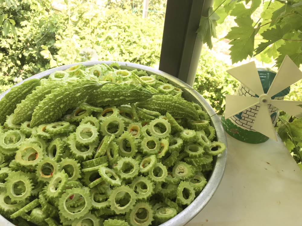 Taze%20Yeşil%20Kudret%20Narı%202000%20GR,%20Bitter%20Gourd,%20Bitter%20Melon,%20Momordica%20Charantia%202%20KG