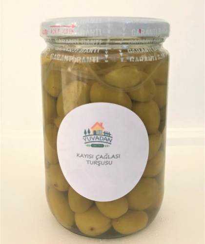 Apricot%20unripe%20apricots%20Pickle%20660cc%20620gr