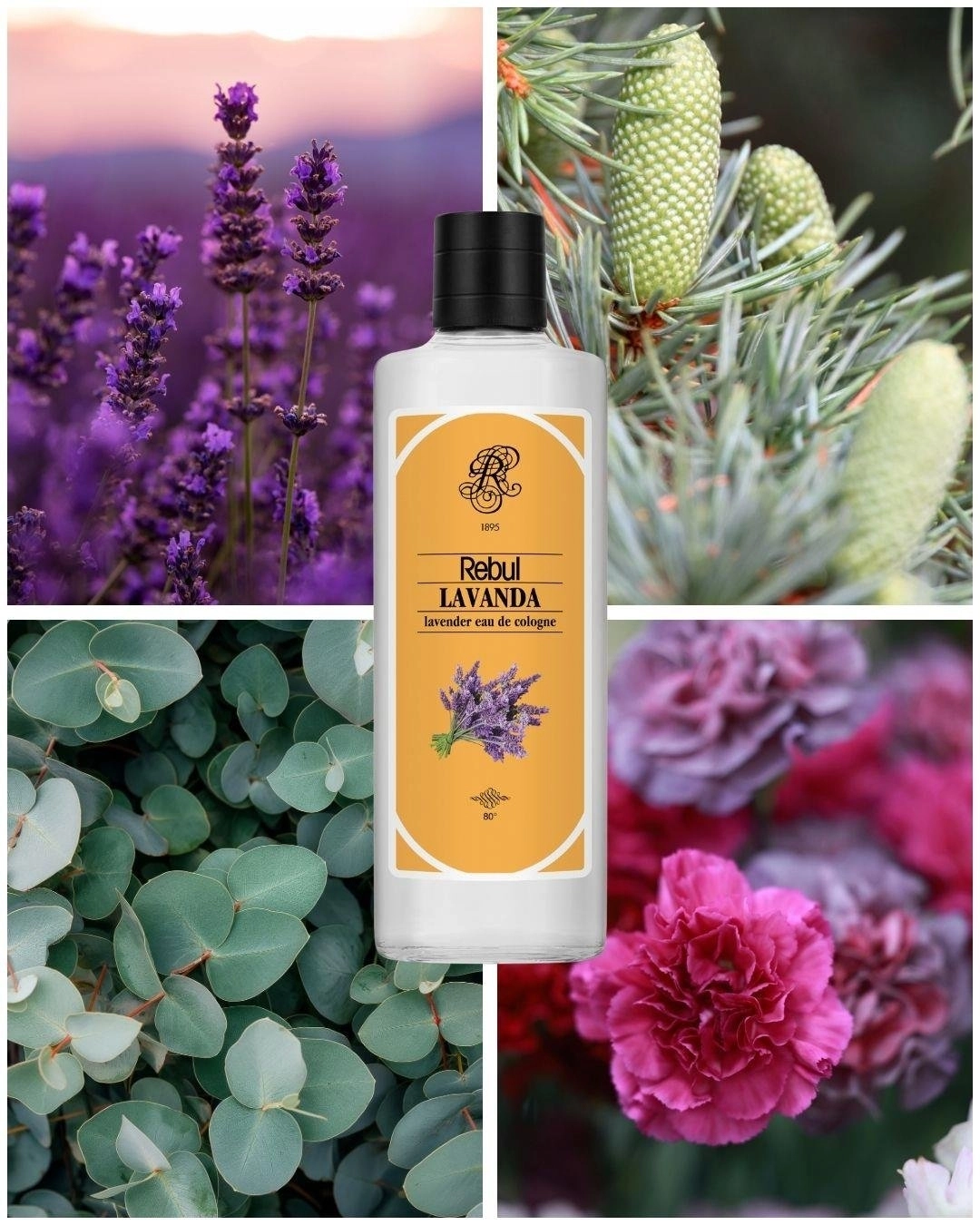 Rebul Lavender EDC Cologne | 250 ml Glass Bottle