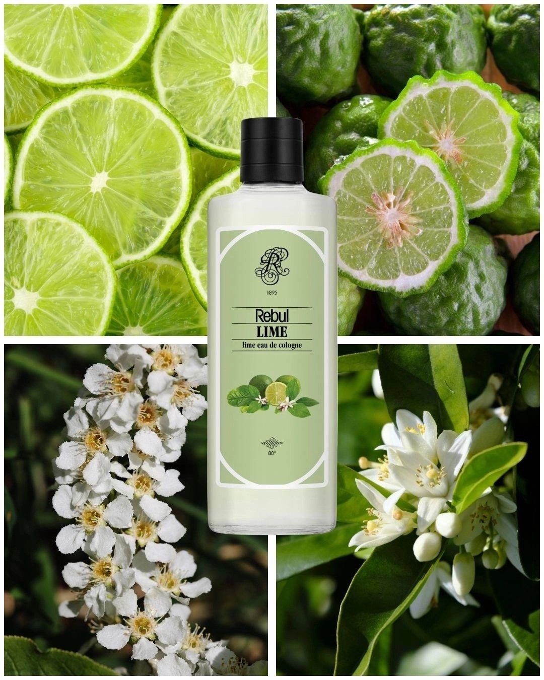 REBUL LIME EDC 250ML UNISEX LF Glass Bottle
