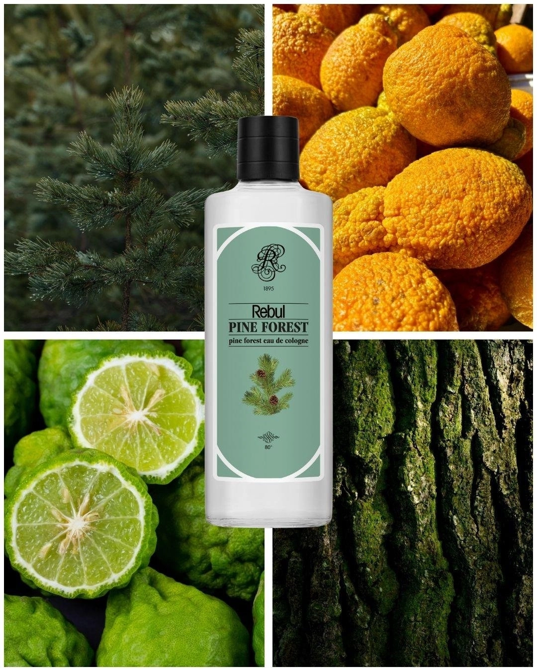 Rebul Pine Forest EDC Cologne | 250 ml Glass Bottle