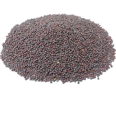 Siyah%20Hardal%20Tohumu%20-%2050gr