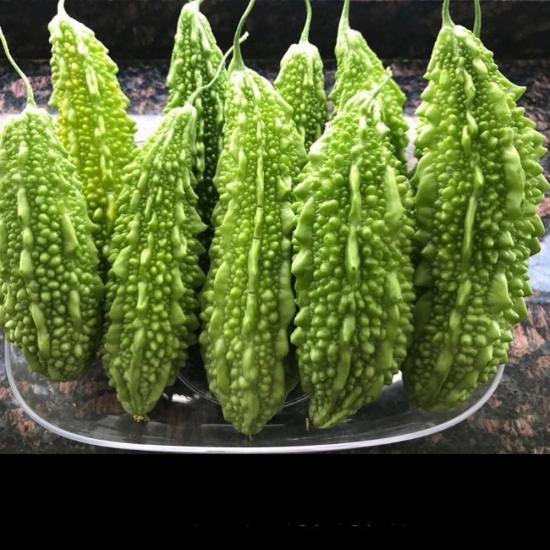 Green Fresh Momordica - Indian Karela Bitter Gourd Bitter Melon