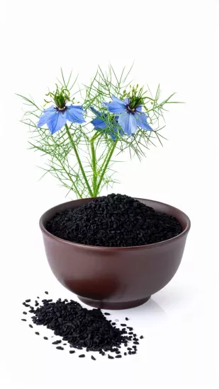 Çörekotu Sofralık - 50gr