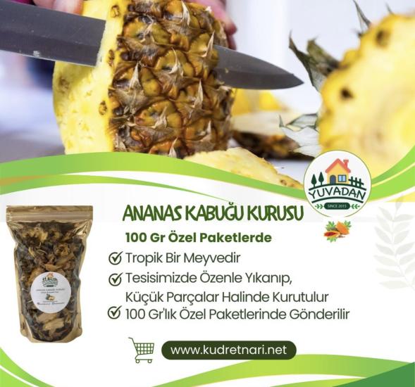 Ananas Kabuğu Kurusu 100gr