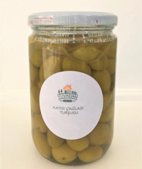 Apricot unripe apricots Pickle 660cc 620gr