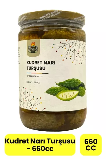 Kudret Narı Turşusu - 660cc