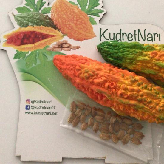 Kudret Narı Tohumu - 99 Adet Tohum (Yetiştirmeye Hazır Doğal Tohum)