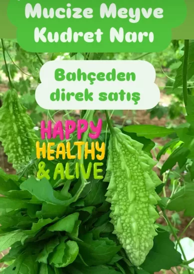 Taze Kudret Narı Meyvesi - 5000gr