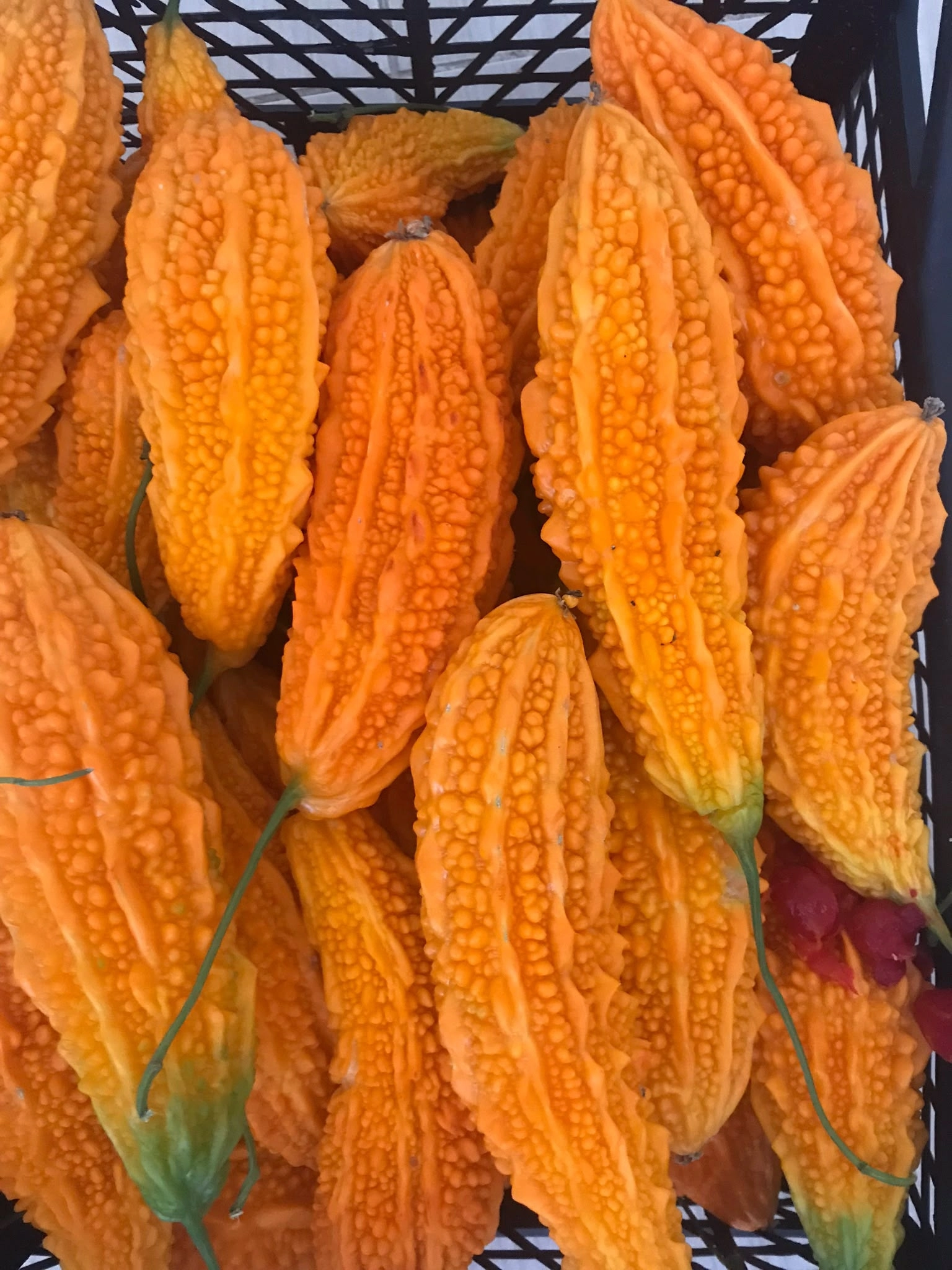 Taze Kudret Narı Meyvesi - 3000gr 