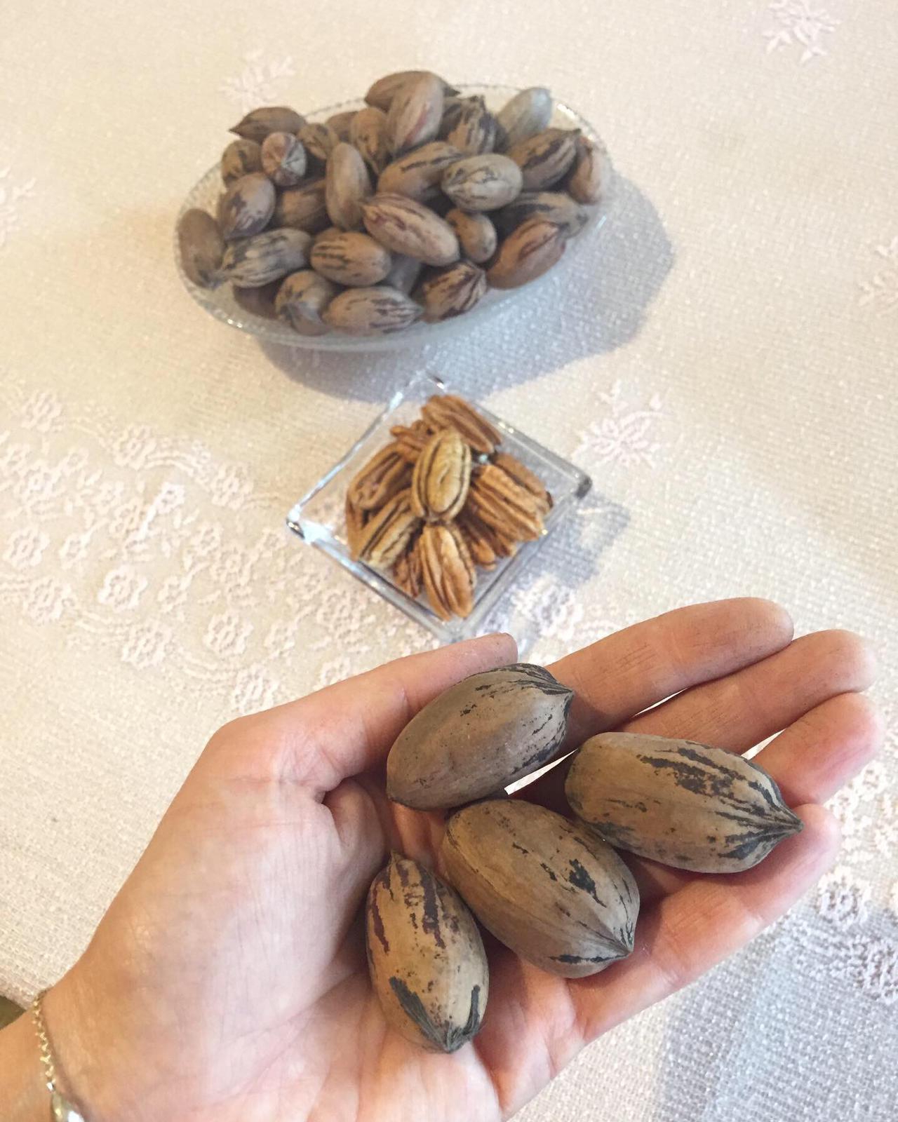 Pikan Ceviz - Orta Boy İnce Kabuk Pikan Cevizi 2kg - Pecans